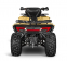 Квадроцикл IRBIS TA-F300 EFI 4*4 23 л.с.