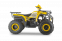 Комплект WELS THUNDER Trail 200