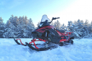 Снегоход IRBIS (Ирбис) SF200L Long 2024 (ПСМ)