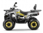 Квадроцикл GLADIATOR F200lux серый