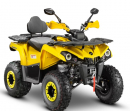 Квадроцикл GLADIATOR F200lux желтый