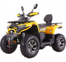 Комплект для сборки WILD TRACK X VOX 250 PLUS